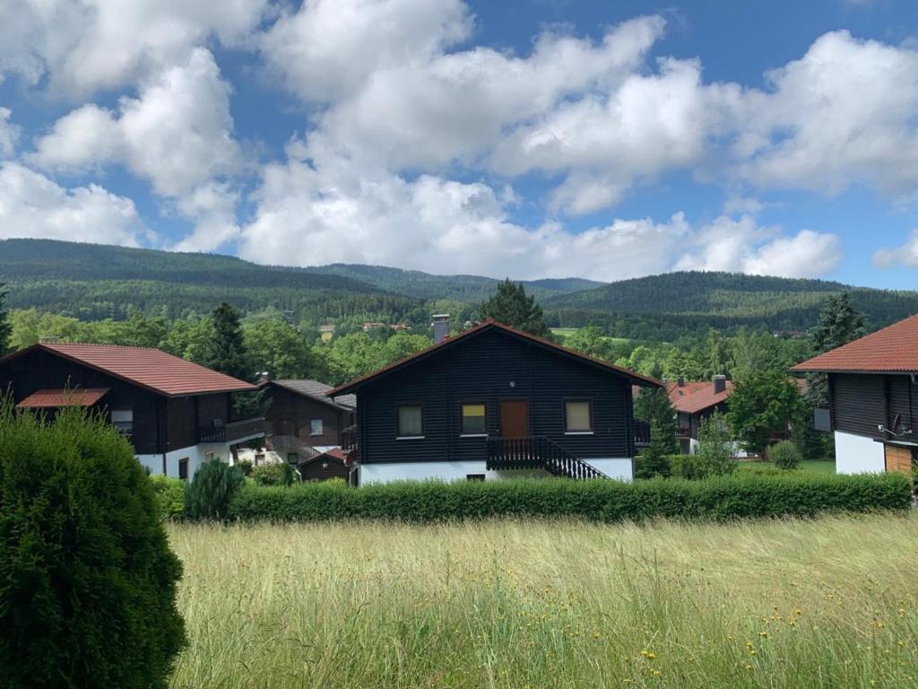 Feriendorf Am Hohen Bogen Haus 98 Eg 아라흐 외부 사진